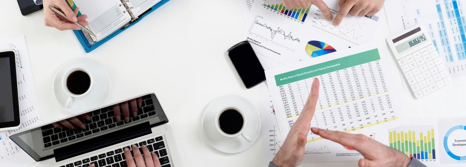 Web Design & UI/UX Development