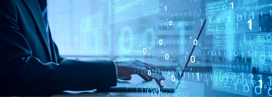 Custom Web Application Development 